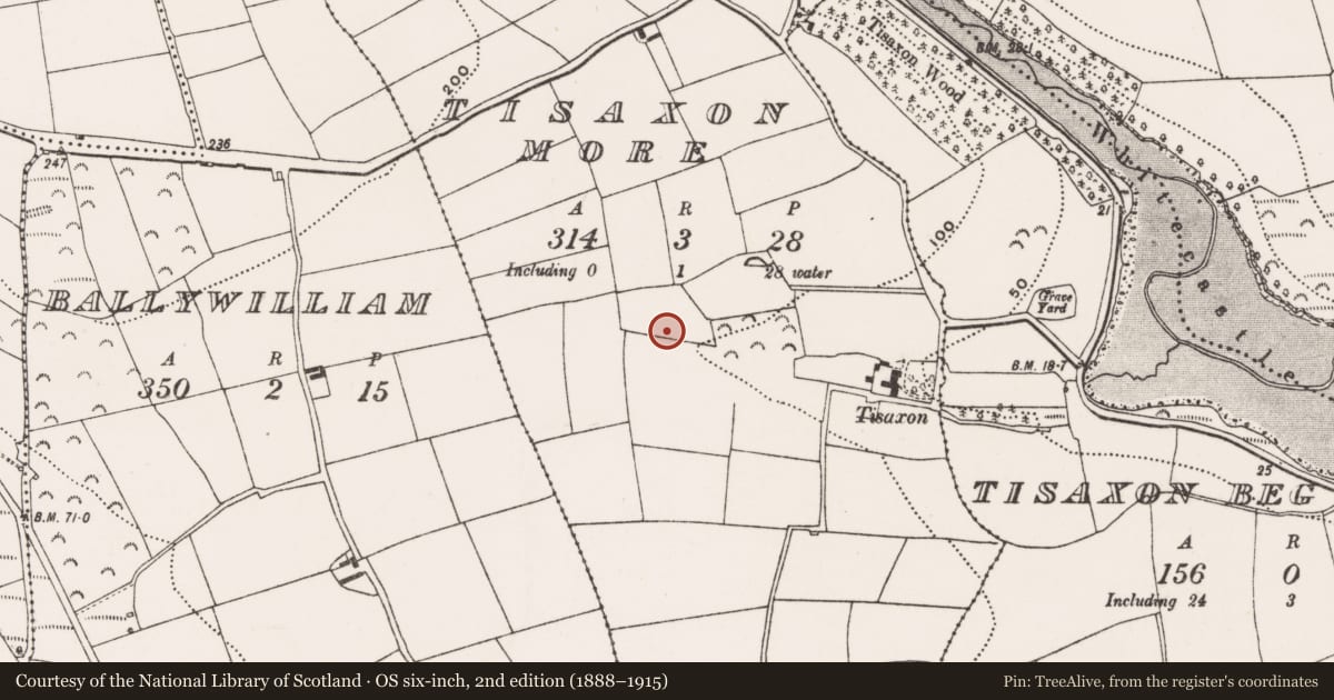 Ordnance Survey six-inch map, 2nd edition (1888–1915) covering the location of Bullaun stone, Tisaxon More, County Cork, with a pin at the register's coordinates