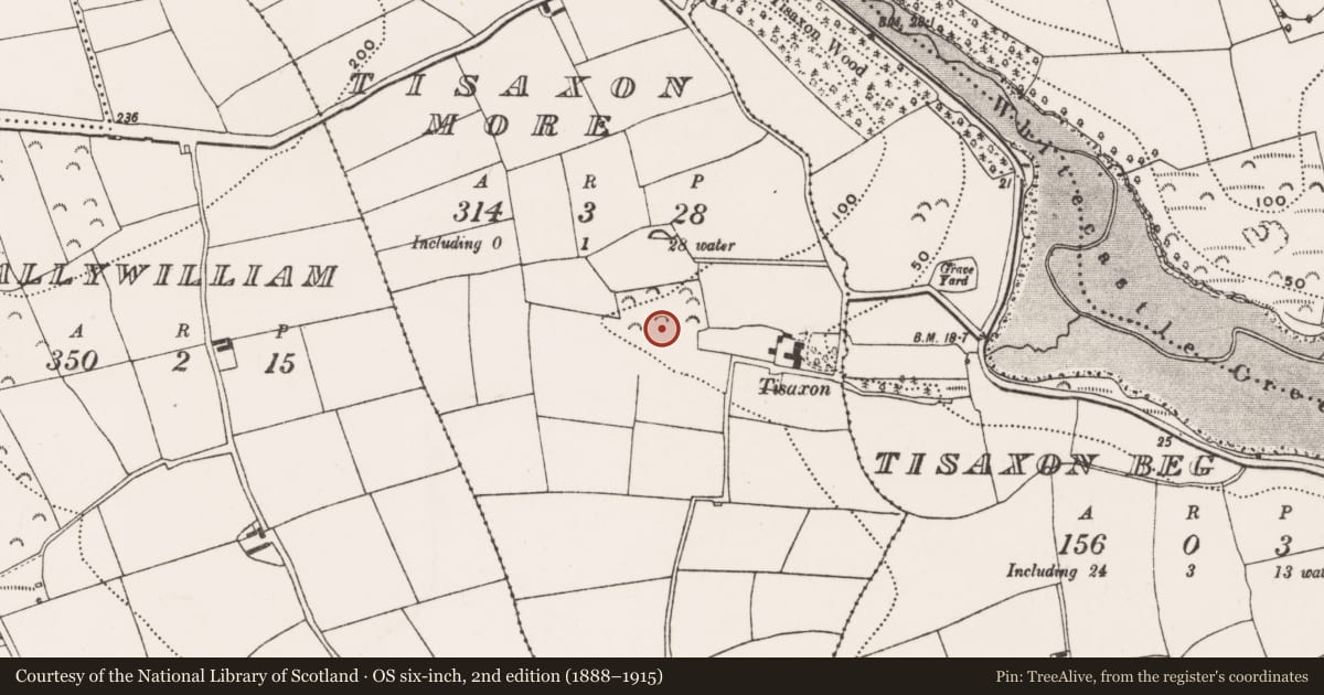Ordnance Survey six-inch map, 2nd edition (1888–1915) covering the location of Fulacht fia, Tisaxon More, County Cork, with a pin at the register's coordinates