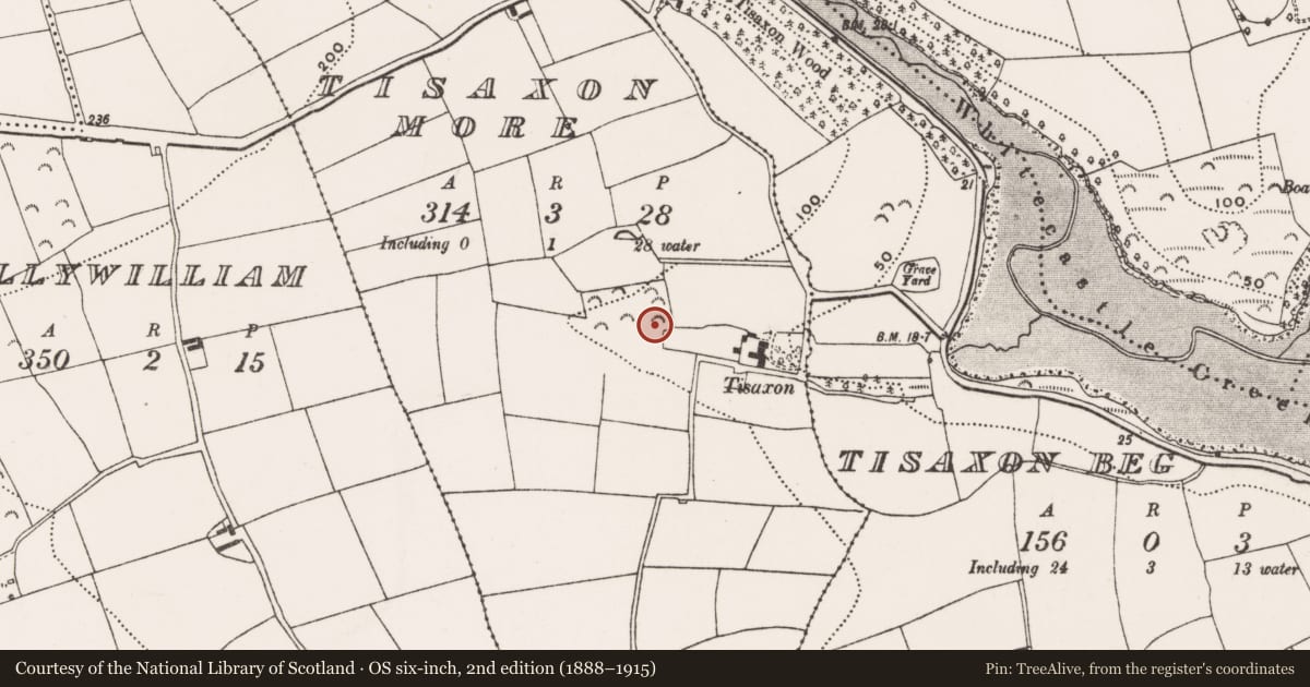 Ordnance Survey six-inch map, 2nd edition (1888–1915) covering the location of Fulacht fia, Tisaxon More, County Cork, with a pin at the register's coordinates