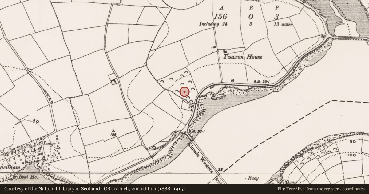 Ordnance Survey six-inch map, 2nd edition (1888–1915) covering the location of Fulacht fia, Tisaxon Beg, County Cork, with a pin at the register's coordinates