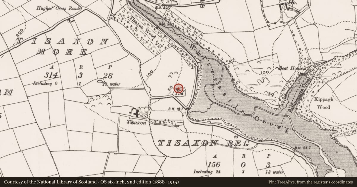 Ordnance Survey six-inch map, 2nd edition (1888–1915) covering the location of Watchman's hut - burial ground, Tisaxon Beg, County Cork, with a pin at the register's coordinates