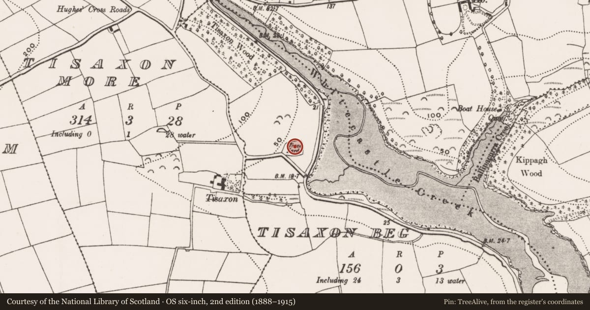 Ordnance Survey six-inch map, 2nd edition (1888–1915) covering the location of Church, Tisaxon Beg, County Cork, with a pin at the register's coordinates