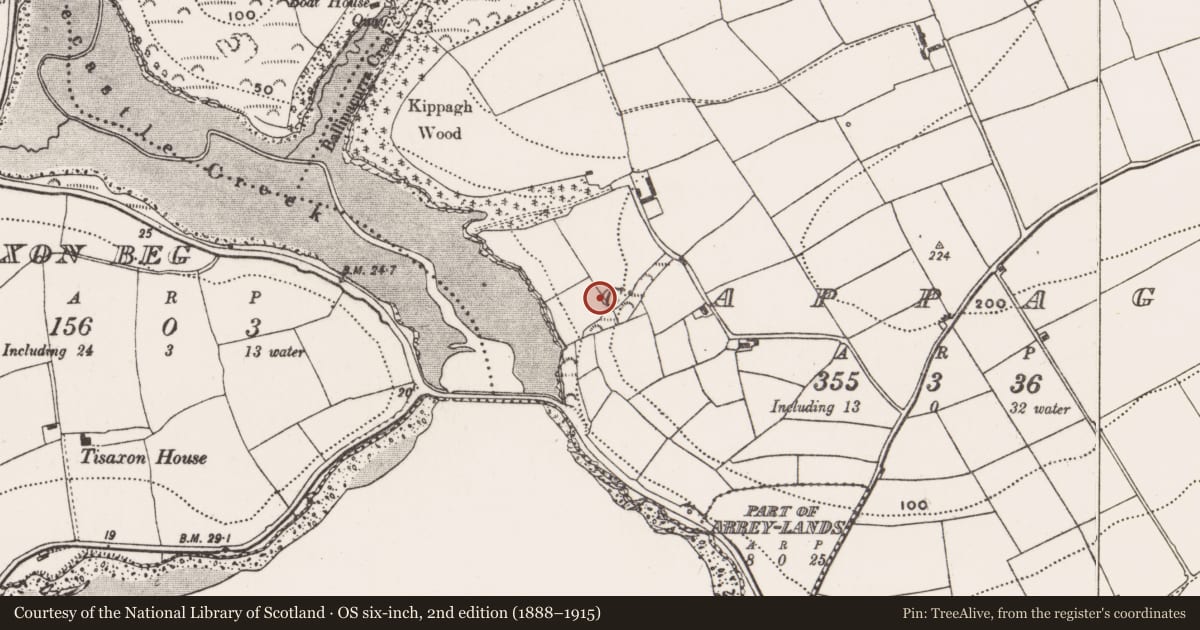 Ordnance Survey six-inch map, 2nd edition (1888–1915) covering the location of Fulacht fia, Cappagh, County Cork, with a pin at the register's coordinates