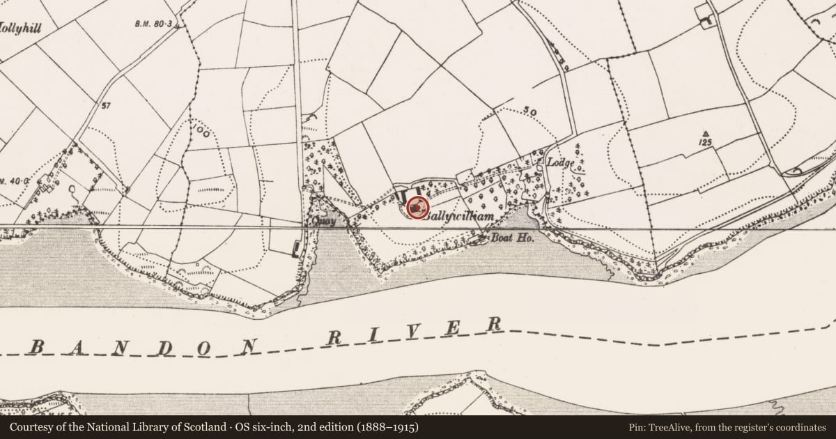 Ordnance Survey six-inch map, 2nd edition (1888–1915) covering the location of Country house, Ballywilliam, County Cork, with a pin at the register's coordinates
