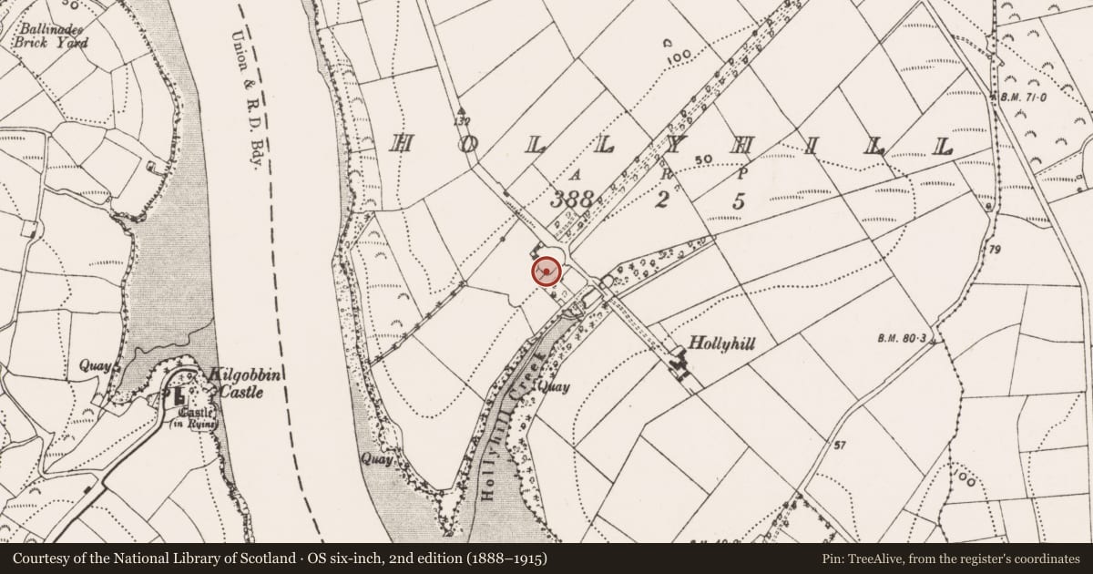 Ordnance Survey six-inch map, 2nd edition (1888–1915) covering the location of Country house, Hollyhill, County Cork, with a pin at the register's coordinates
