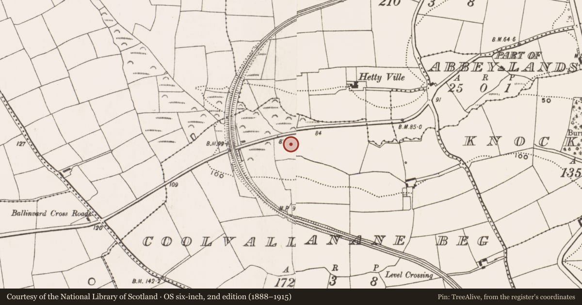 Ordnance Survey six-inch map, 2nd edition (1888–1915) covering the location of Fulacht fia, Coolvallanane Beg, County Cork, with a pin at the register's coordinates