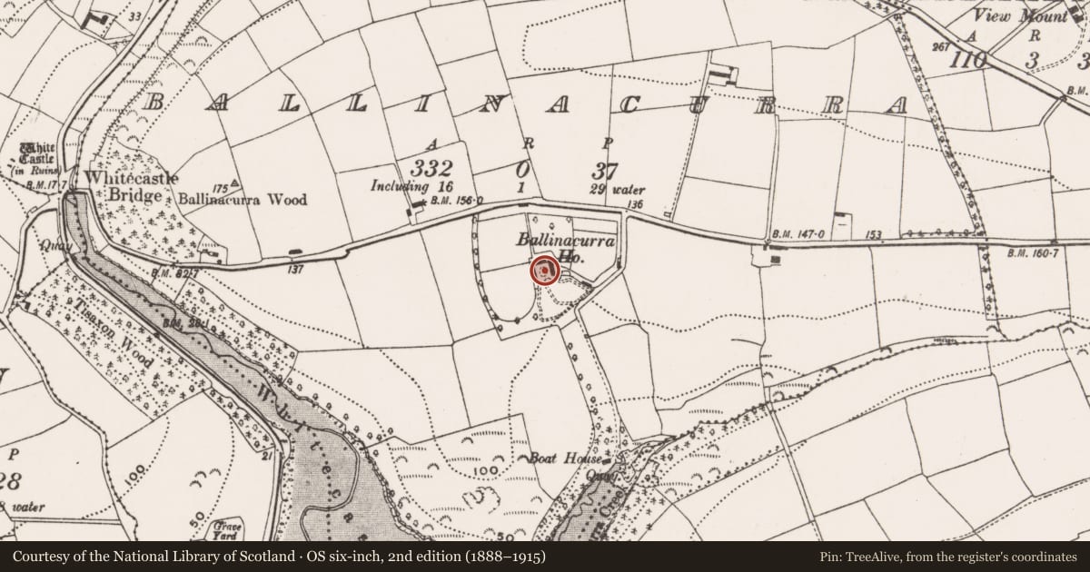 Ordnance Survey six-inch map, 2nd edition (1888–1915) covering the location of Bee-boles, Ballinacurra, County Cork, with a pin at the register's coordinates