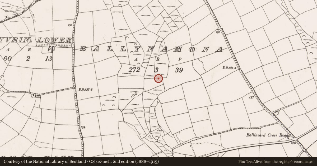 Ordnance Survey six-inch map, 2nd edition (1888–1915) covering the location of Fulacht fia, Ballynamona, County Cork, with a pin at the register's coordinates