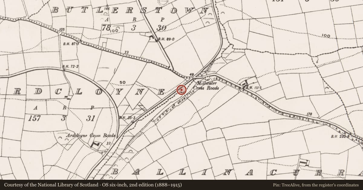 Ordnance Survey six-inch map, 2nd edition (1888–1915) covering the location of Water mill - vertical-wheeled, Ardcloyne, County Cork, with a pin at the register's coordinates