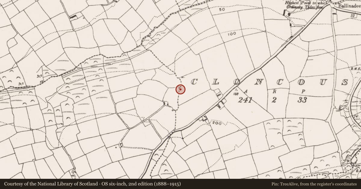 Ordnance Survey six-inch map, 2nd edition (1888–1915) covering the location of Burnt mound, Cloncouse, County Cork, with a pin at the register's coordinates