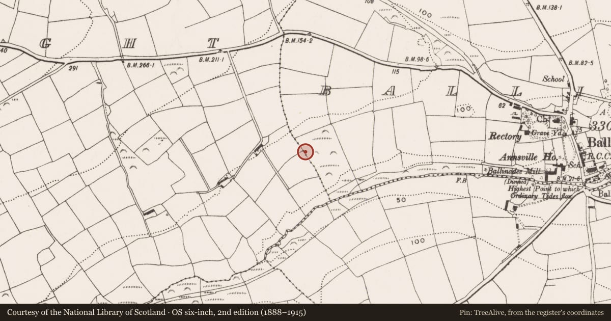 Ordnance Survey six-inch map, 2nd edition (1888–1915) covering the location of Burnt mound, Ballinadee, County Cork, with a pin at the register's coordinates