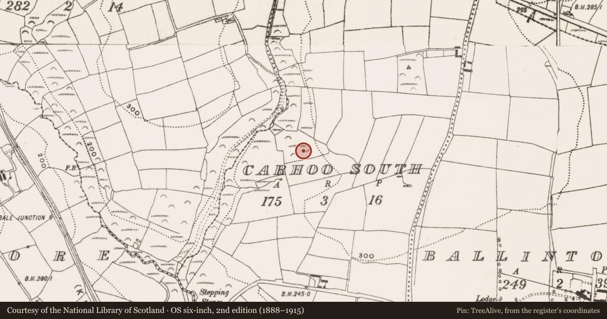 Ordnance Survey six-inch map, 2nd edition (1888–1915) covering the location of Mass-rock, Carhoo South, County Cork, with a pin at the register's coordinates