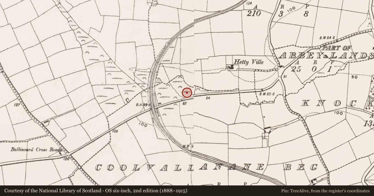 Ordnance Survey six-inch map, 2nd edition (1888–1915) covering the location of Burnt mound, Coolvallanane Beg, County Cork, with a pin at the register's coordinates
