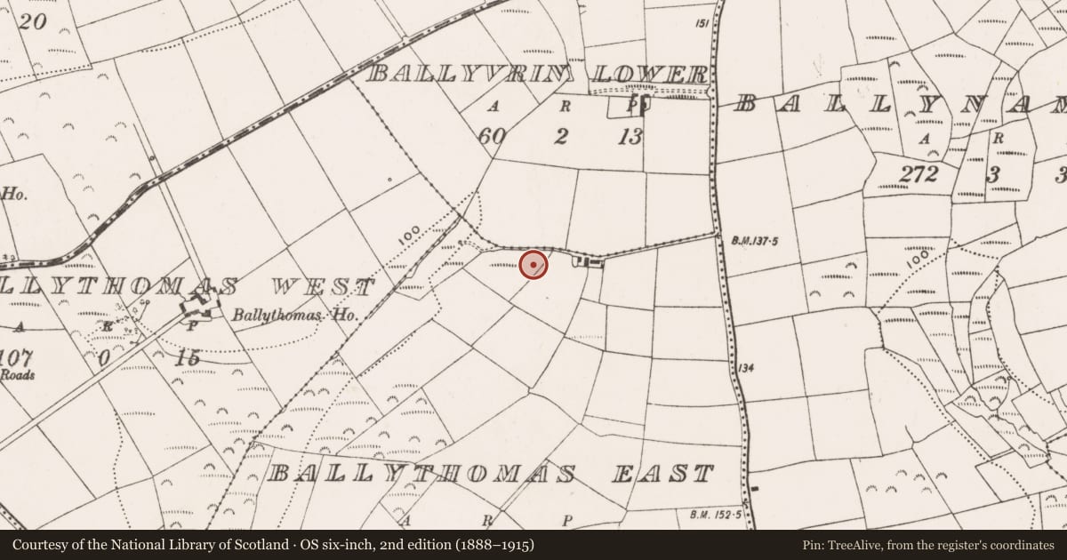 Ordnance Survey six-inch map, 2nd edition (1888–1915) covering the location of Ringfort - rath, Ballythomas East, County Cork, with a pin at the register's coordinates