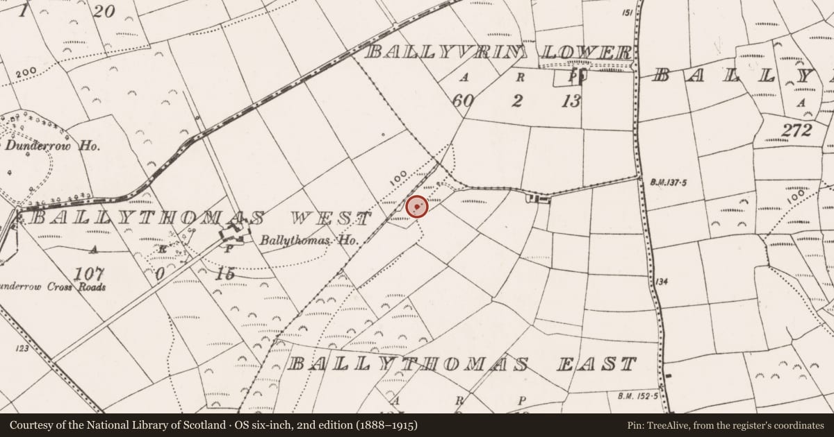 Ordnance Survey six-inch map, 2nd edition (1888–1915) covering the location of Water mill - horizontal-wheeled, Ballythomas East, County Cork, with a pin at the register's coordinates