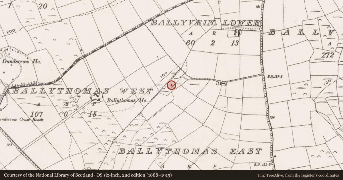 Ordnance Survey six-inch map, 2nd edition (1888–1915) covering the location of Fulacht fia, Ballythomas East, County Cork, with a pin at the register's coordinates