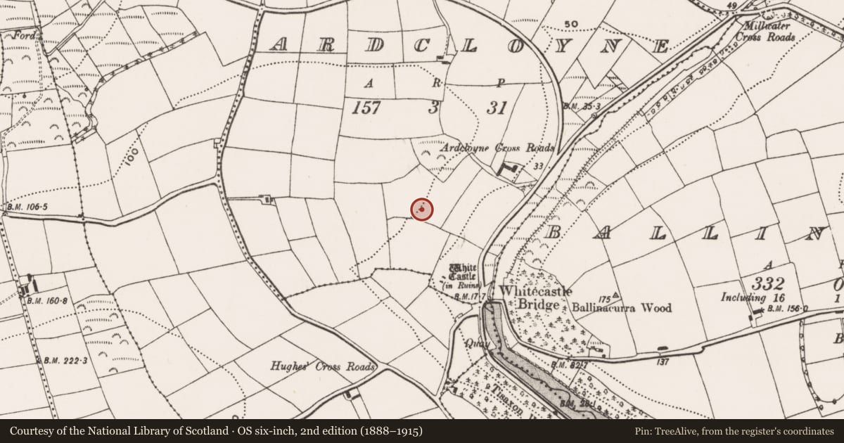 Ordnance Survey six-inch map, 2nd edition (1888–1915) covering the location of Burnt spread, Ardcloyne, County Cork, with a pin at the register's coordinates