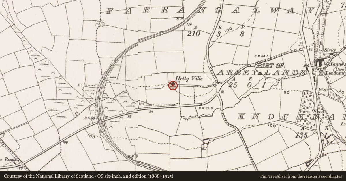Ordnance Survey six-inch map, 2nd edition (1888–1915) covering the location of Country house, Farrangalway, County Cork, with a pin at the register's coordinates