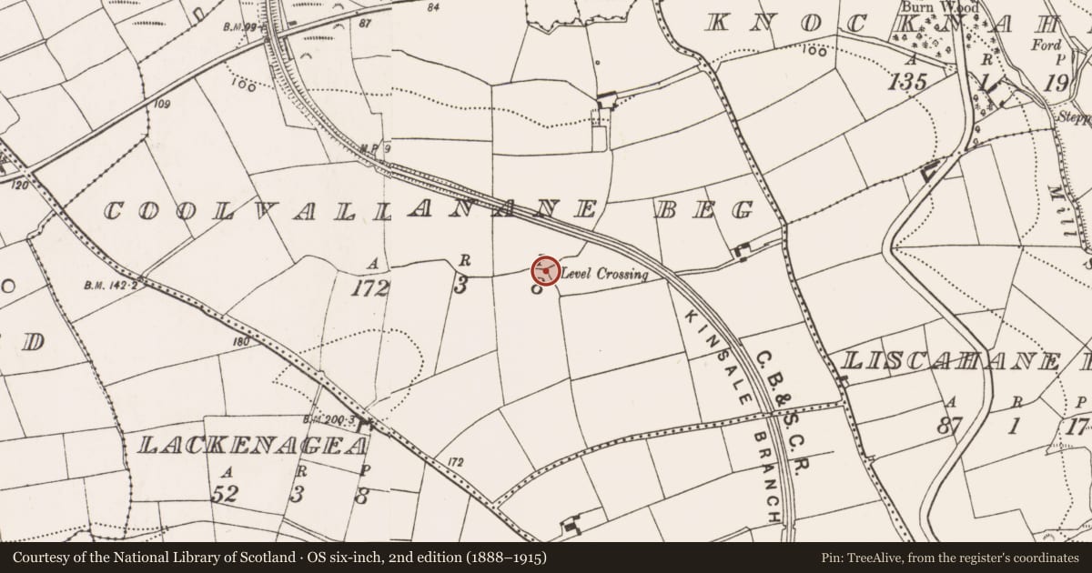 Ordnance Survey six-inch map, 2nd edition (1888–1915) covering the location of Souterrain, Coolvallanane Beg, County Cork, with a pin at the register's coordinates