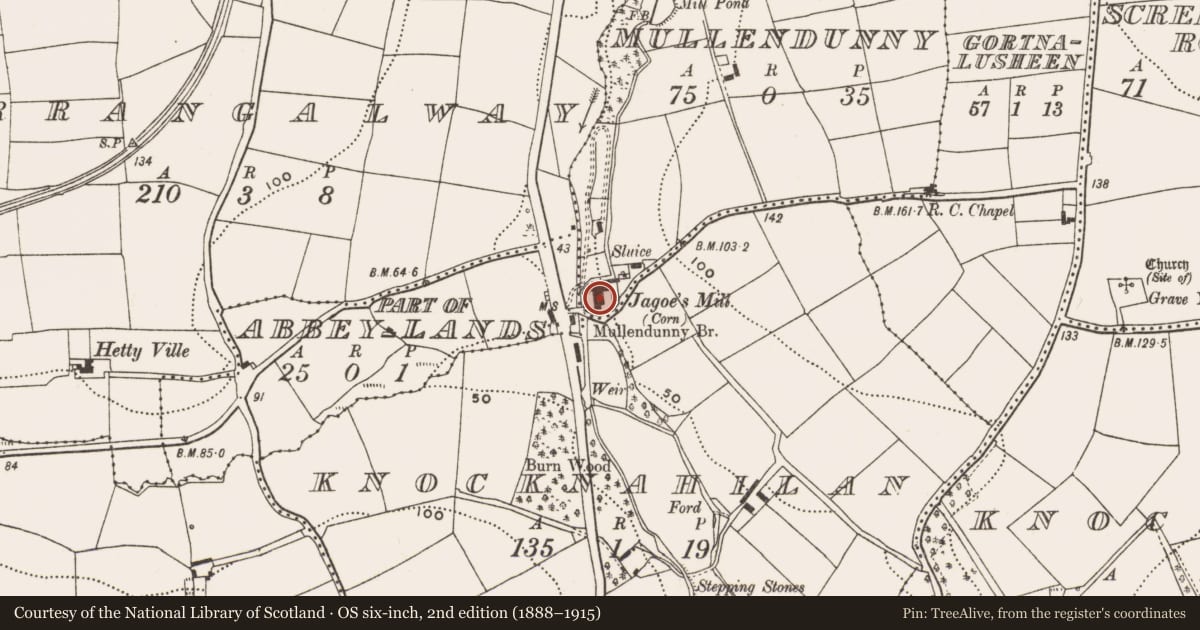 Ordnance Survey six-inch map, 2nd edition (1888–1915) covering the location of Mill - corn, Mullendunny, County Cork, with a pin at the register's coordinates