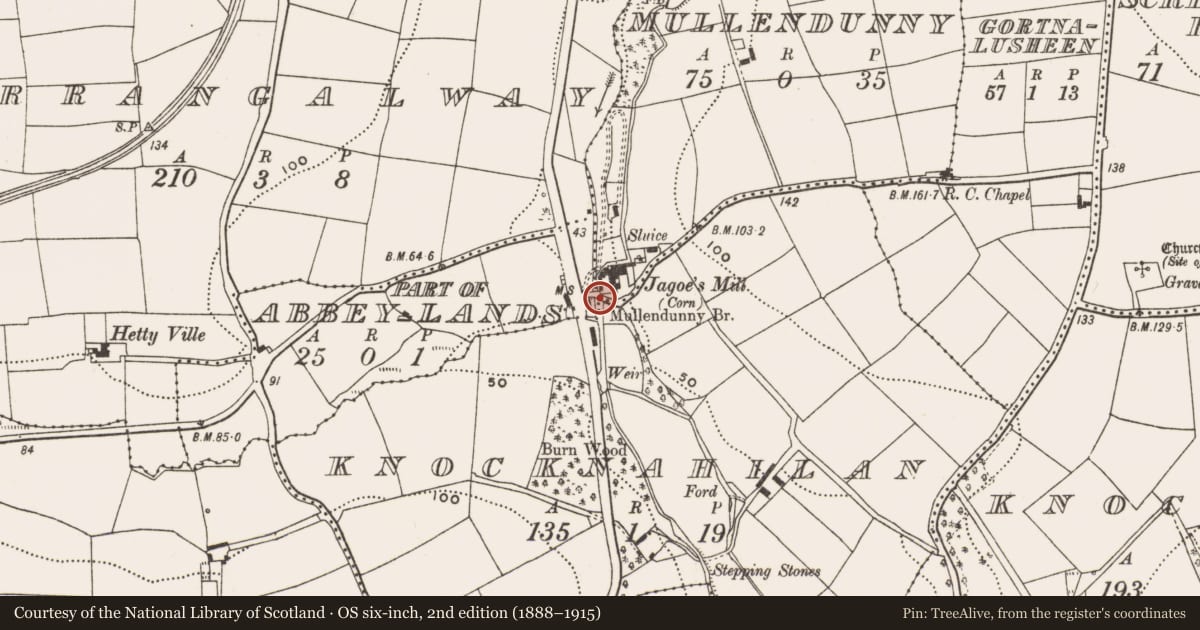 Ordnance Survey six-inch map, 2nd edition (1888–1915) covering the location of Bridge, Mullendunny, County Cork, with a pin at the register's coordinates