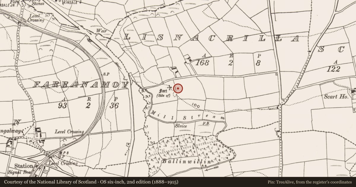 Ordnance Survey six-inch map, 2nd edition (1888–1915) covering the location of Souterrain, Lisnacrilla, County Cork, with a pin at the register's coordinates