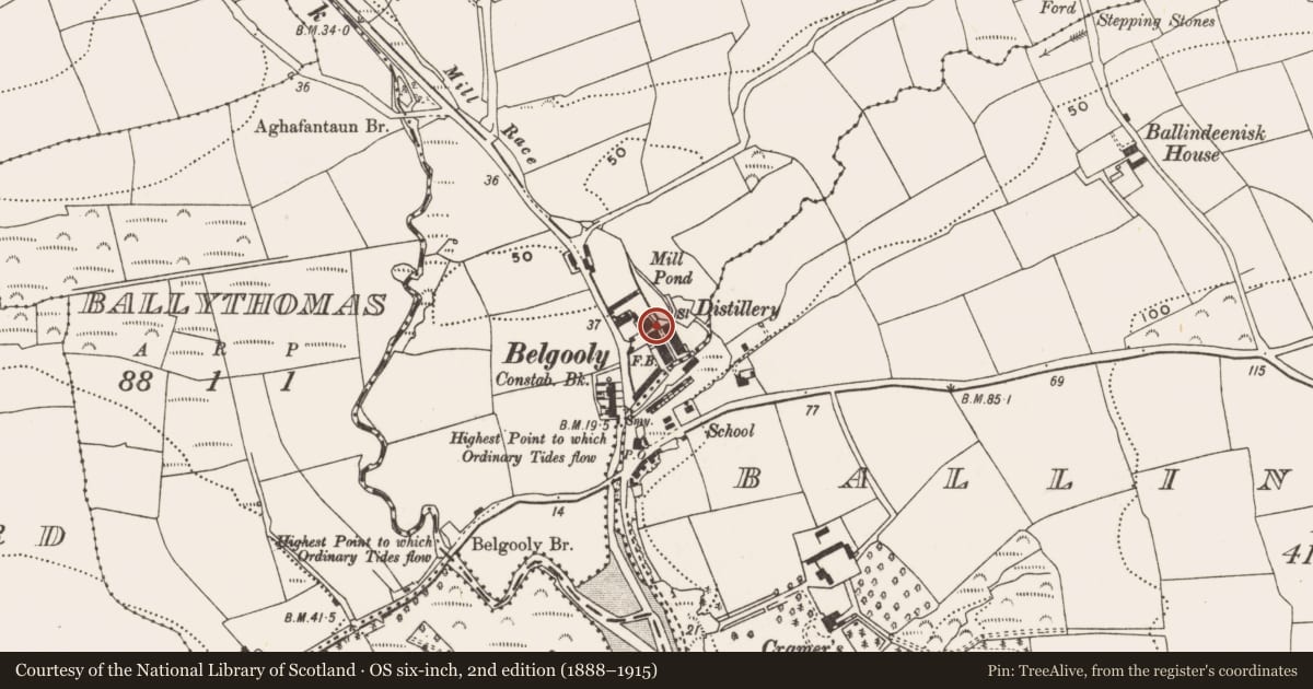 Ordnance Survey six-inch map, 2nd edition (1888–1915) covering the location of Mill - unclassified, Lybe, County Cork, with a pin at the register's coordinates
