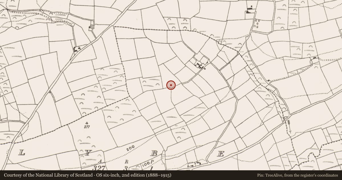 Ordnance Survey six-inch map, 2nd edition (1888–1915) covering the location of Ringfort - rath, Lybe, County Cork, with a pin at the register's coordinates
