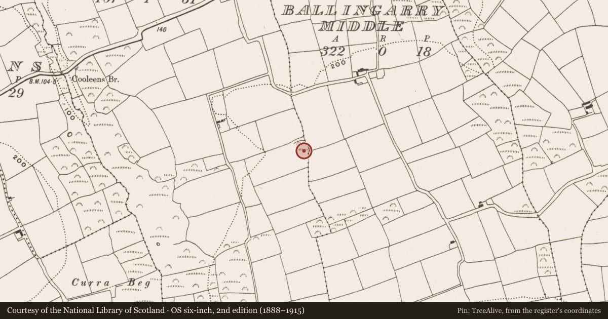 Ordnance Survey six-inch map, 2nd edition (1888–1915) covering the location of Ringfort - rath, Ballingarry West, County Cork, with a pin at the register's coordinates