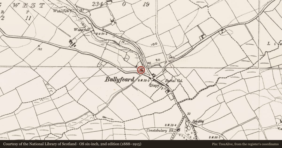 Ordnance Survey six-inch map, 2nd edition (1888–1915) covering the location of Milling complex, Ballinluig West, County Cork, with a pin at the register's coordinates
