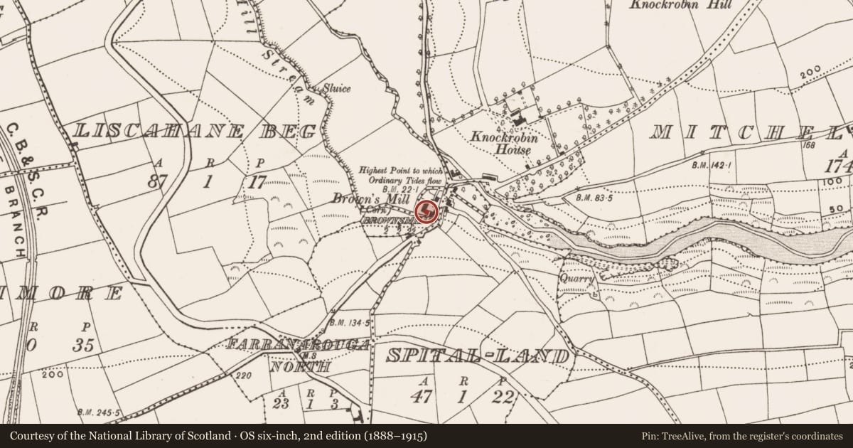 Ordnance Survey six-inch map, 2nd edition (1888–1915) covering the location of Mill - corn, Brownsmills, County Cork, with a pin at the register's coordinates