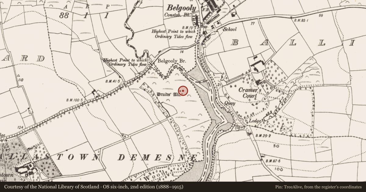 Ordnance Survey six-inch map, 2nd edition (1888–1915) covering the location of Standing stone, Mitchelstown East, County Cork, with a pin at the register's coordinates