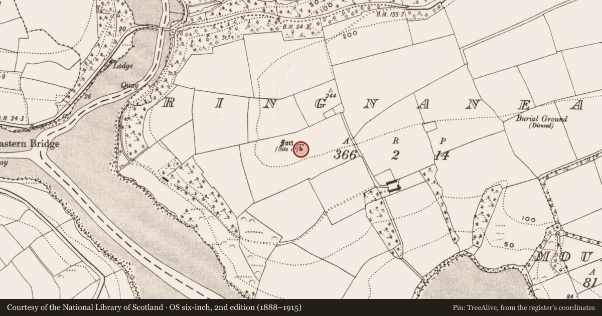 Ordnance Survey six-inch map, 2nd edition (1888–1915) covering the location of Ringfort - rath, Ringnanean, County Cork, with a pin at the register's coordinates
