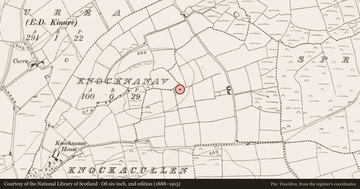 Ordnance Survey six-inch map, 2nd edition (1888–1915) covering the location of Ringfort - rath, Knockacullen, County Cork, with a pin at the register's coordinates