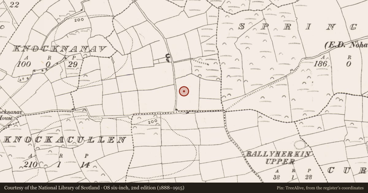 Ordnance Survey six-inch map, 2nd edition (1888–1915) covering the location of Standing stone, Knockacullen, County Cork, with a pin at the register's coordinates