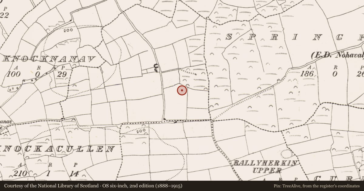 Ordnance Survey six-inch map, 2nd edition (1888–1915) covering the location of Fulacht fia, Knockacullen, County Cork, with a pin at the register's coordinates