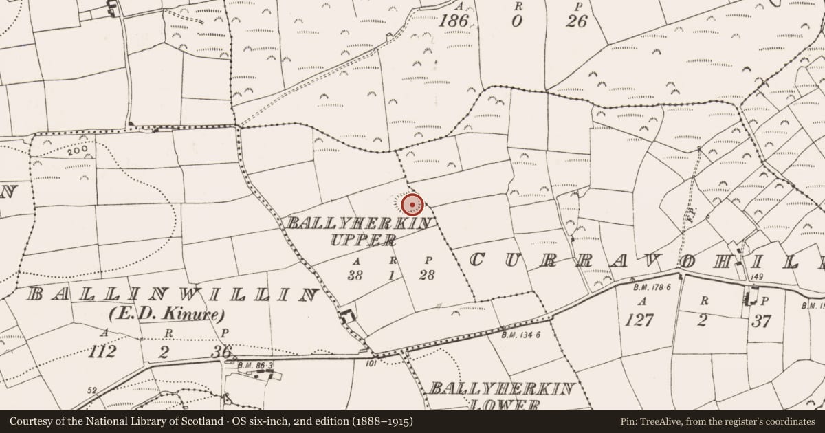 Ordnance Survey six-inch map, 2nd edition (1888–1915) covering the location of Ringfort - rath, Ballyherkin Upper, County Cork, with a pin at the register's coordinates