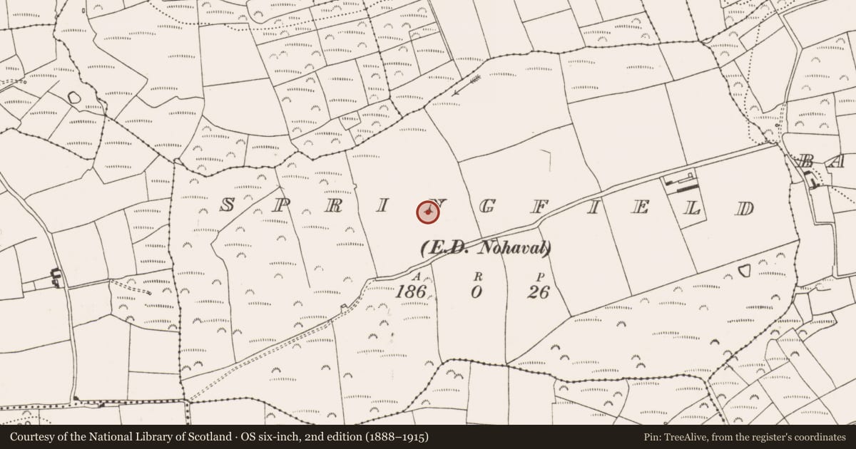 Ordnance Survey six-inch map, 2nd edition (1888–1915) covering the location of Ringfort - rath, Springfield (Kinalea By., Nohaval Par.), County Cork, with a pin at the register's coordinates