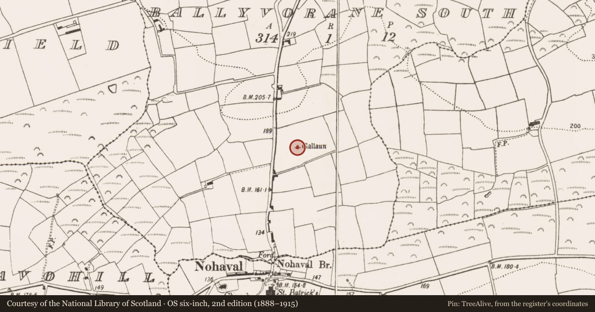 Ordnance Survey six-inch map, 2nd edition (1888–1915) covering the location of Standing stone, Ballyvorane South, County Cork, with a pin at the register's coordinates