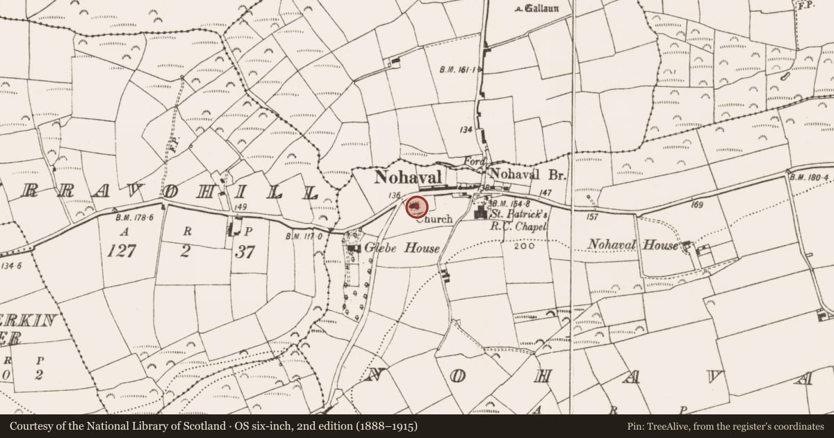 Ordnance Survey six-inch map, 2nd edition (1888–1915) covering the location of Church, Nohaval, County Cork, with a pin at the register's coordinates