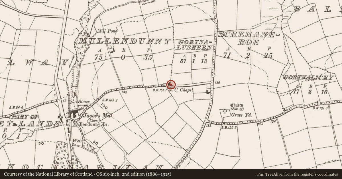 Ordnance Survey six-inch map, 2nd edition (1888–1915) covering the location of Church, Gortnalusheen, County Cork, with a pin at the register's coordinates