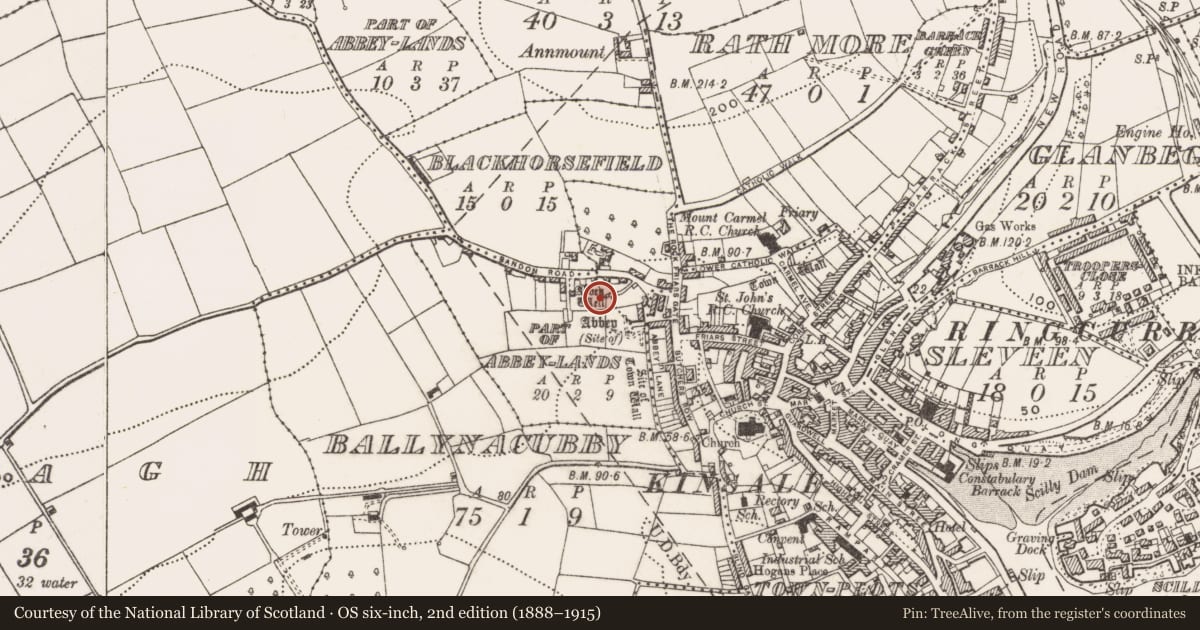 Ordnance Survey six-inch map, 2nd edition (1888–1915) covering the location of Ritual site - holy well, County Cork, with a pin at the register's coordinates