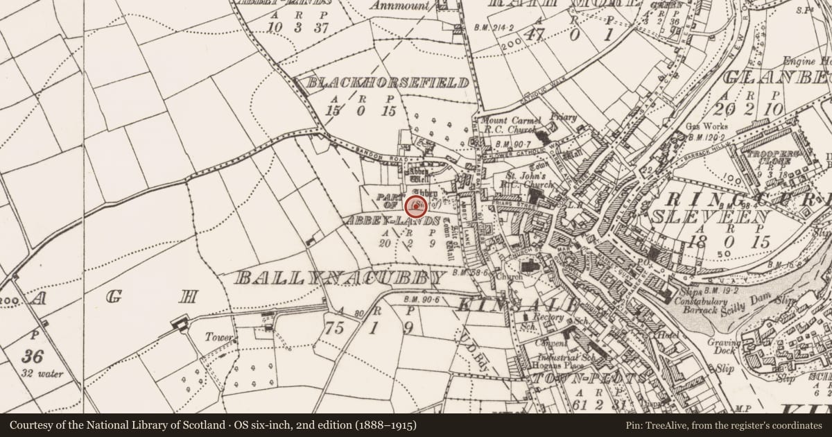 Ordnance Survey six-inch map, 2nd edition (1888–1915) covering the location of Graveyard, County Cork, with a pin at the register's coordinates