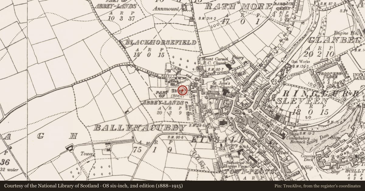 Ordnance Survey six-inch map, 2nd edition (1888–1915) covering the location of Religious house - Carmelite friars, County Cork, with a pin at the register's coordinates