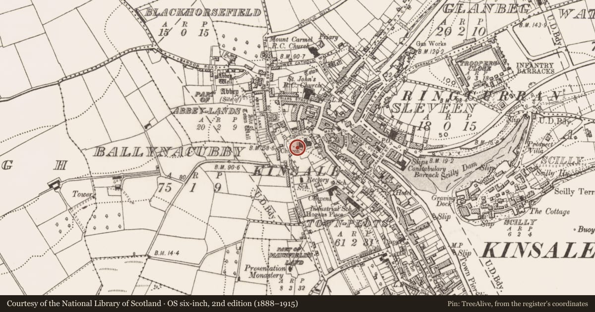 Ordnance Survey six-inch map, 2nd edition (1888–1915) covering the location of Graveyard, Townplots, County Cork, with a pin at the register's coordinates