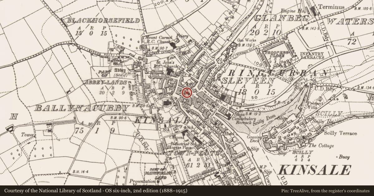 Ordnance Survey six-inch map, 2nd edition (1888–1915) covering the location of Armorial plaque (present location), Townplots, County Cork, with a pin at the register's coordinates
