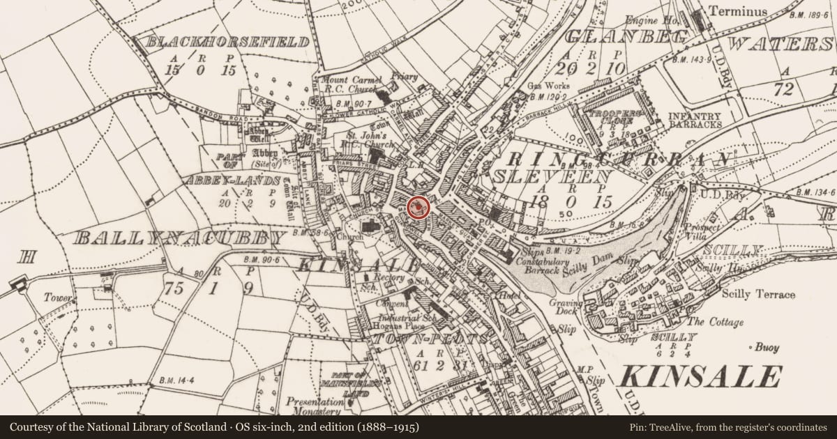 Ordnance Survey six-inch map, 2nd edition (1888–1915) covering the location of Armorial plaque (present location), Townplots, County Cork, with a pin at the register's coordinates