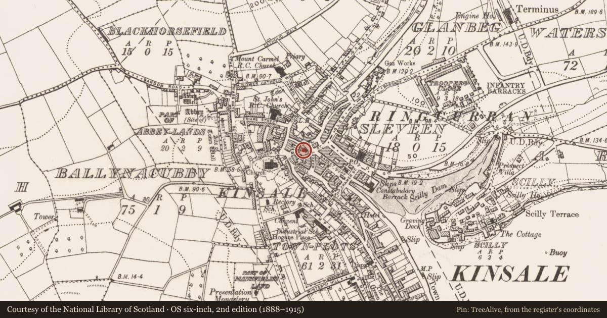 Ordnance Survey six-inch map, 2nd edition (1888–1915) covering the location of Architectural fragment, Townplots, County Cork, with a pin at the register's coordinates
