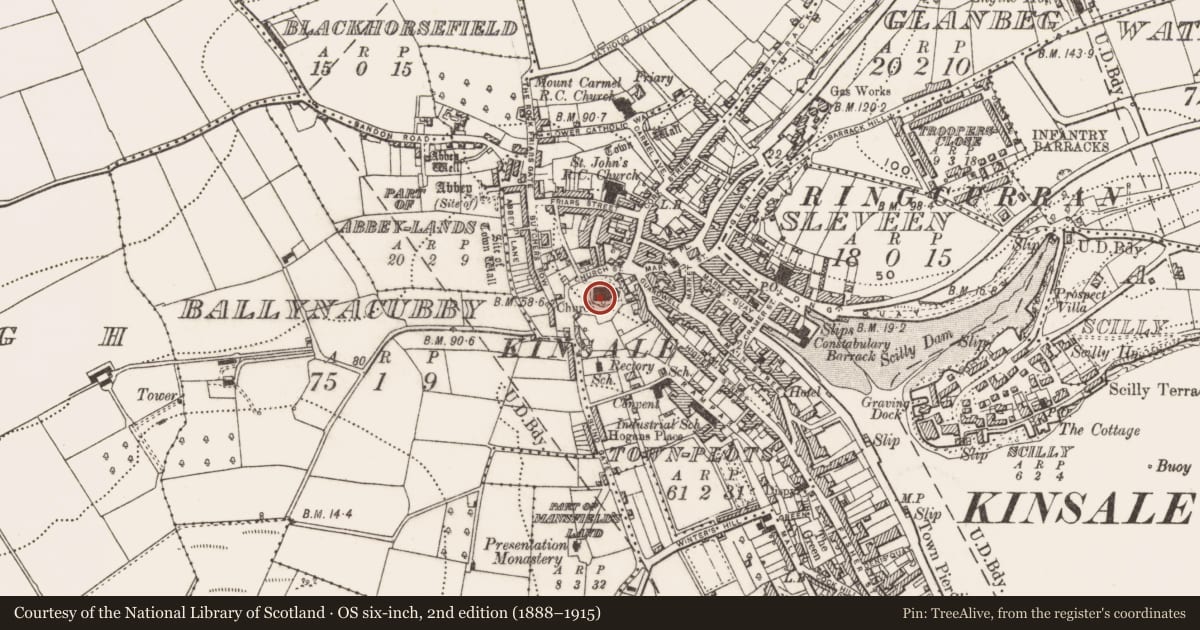 Ordnance Survey six-inch map, 2nd edition (1888–1915) covering the location of Stone sculpture, Townplots, County Cork, with a pin at the register's coordinates