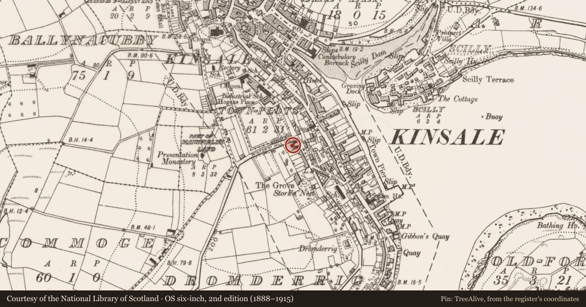 Ordnance Survey six-inch map, 2nd edition (1888–1915) covering the location of Armorial plaque, Dromderrig, County Cork, with a pin at the register's coordinates